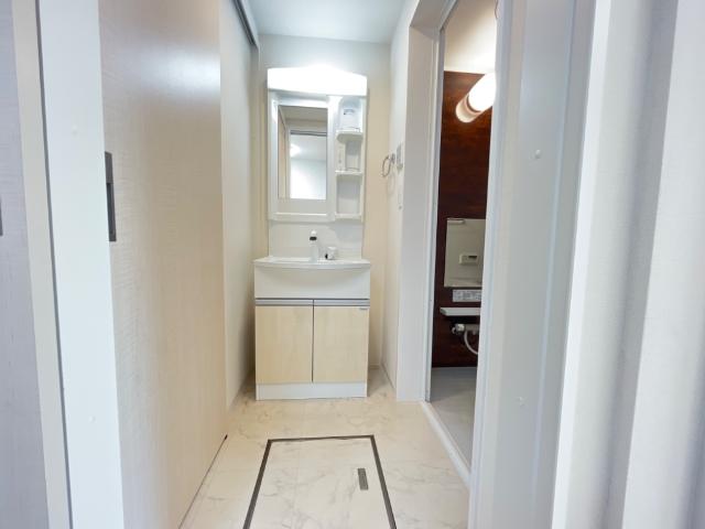 イルミナーレ106号室 洗面