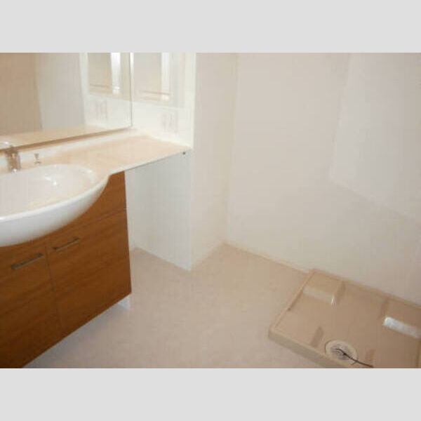 パナックスⅡ202号室 202洗髪洗面化粧台