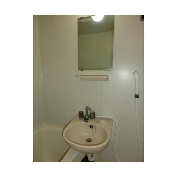 エステートピアグレイス203号室 洗面
