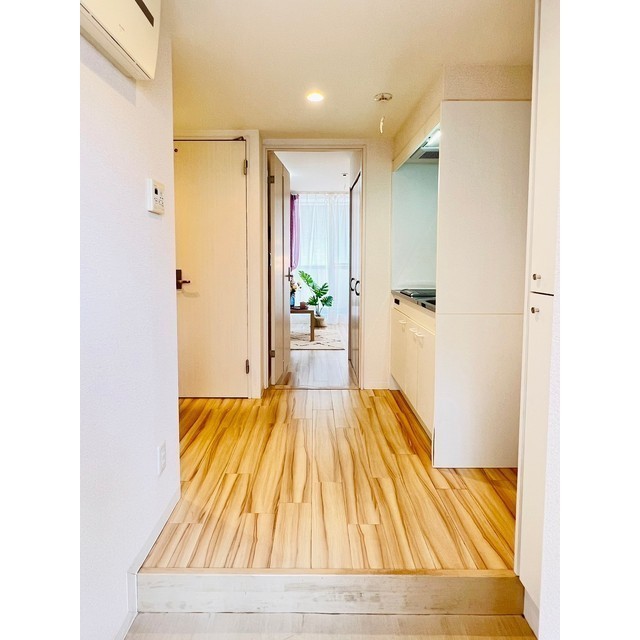 ASTREA東千葉203号室 玄関