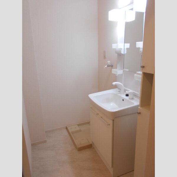 アムール赤山 洗面室