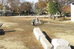 ストリーム湘南台 湘南台公園まで1,280ｍ