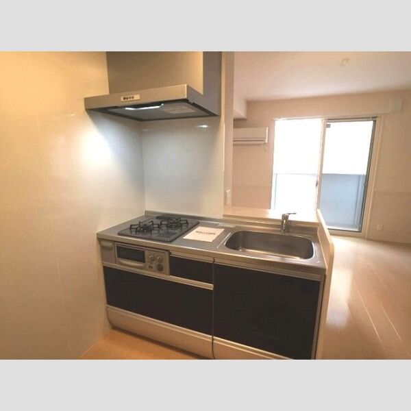 Villa Hermitage Court システムキッチン