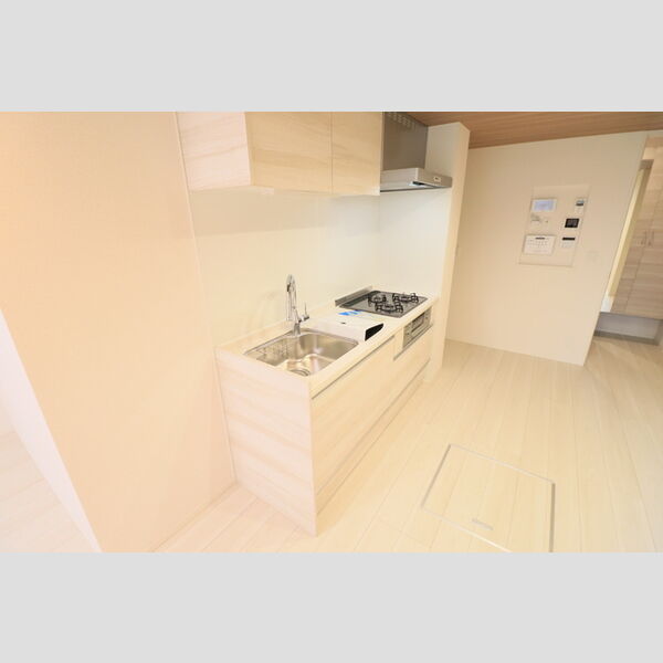 D Paina 中野島Ⅱ105号室 キッチン