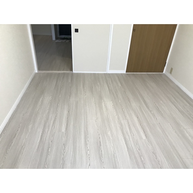 シティハイムアケボノA201号室 内観