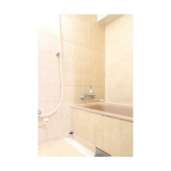 綾東ヴィレッジ弐番館202号室 お風呂