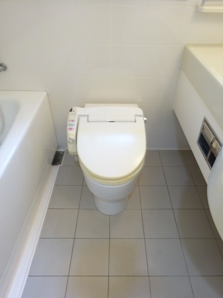 スカイコートヴァンテアン桜上水110号室 トイレ