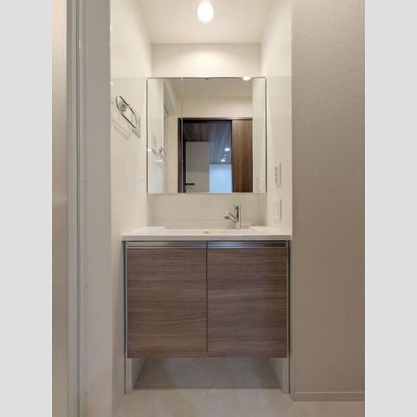 セレスティア南篠崎町102号室 洗髪洗面化粧台