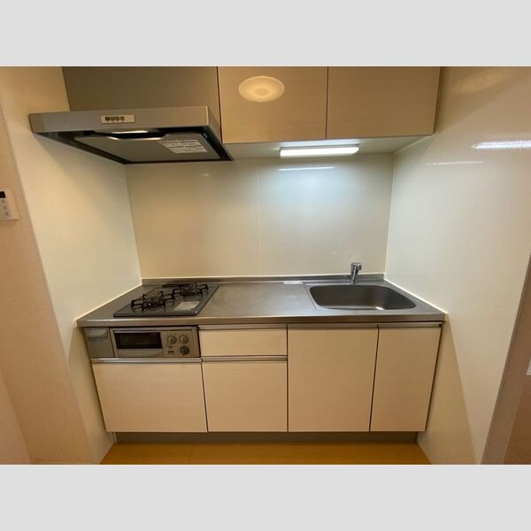 D-room 祖師谷 202号室キッチン