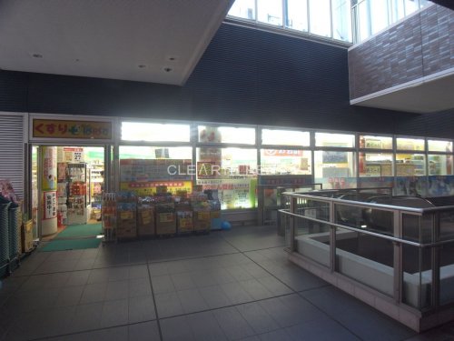 菱和パレス月島5階 【ドラッグストア】どらっぐぱぱす 勝どきビュータワー店まで511ｍ