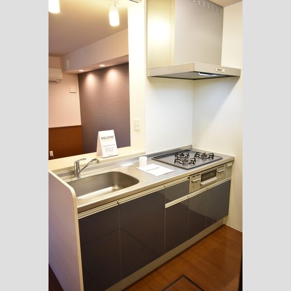 Dandelion　A101号室 システムキッチン