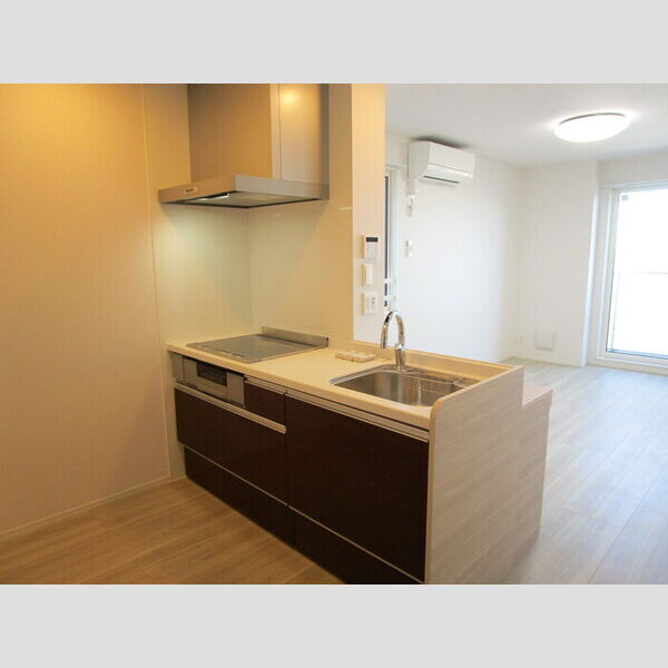 アレクシス 対面式3口IHヒーター付システムキッチン