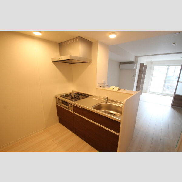 Precious Ⅱ(プレシャス ツー) カウンターキッチン