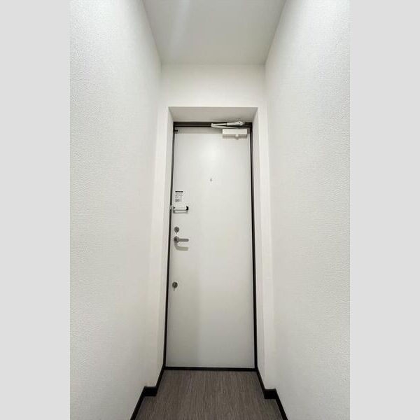 リーブルファイン大袋駅前401号室 玄関