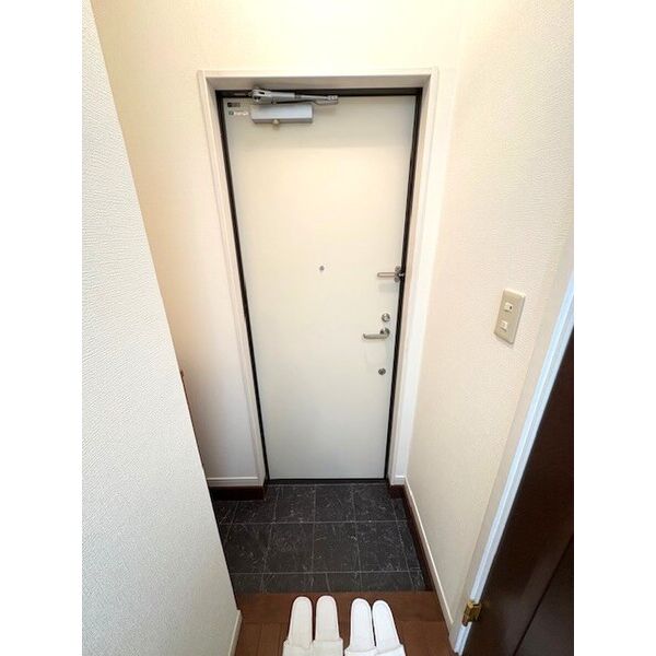 カーザ・レフィナーダⅢ 玄関