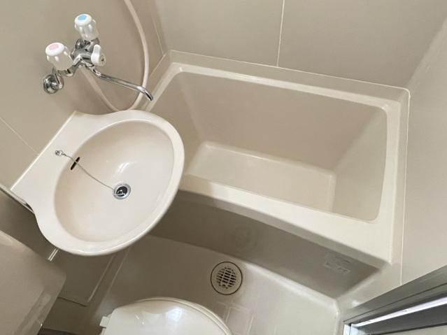 スカイピア阿佐ケ谷202号室 洗面