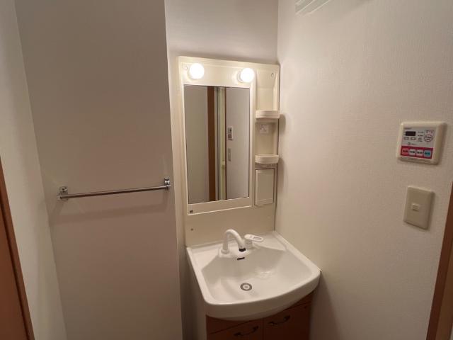 プレサスＳⅡ101号室 洗面