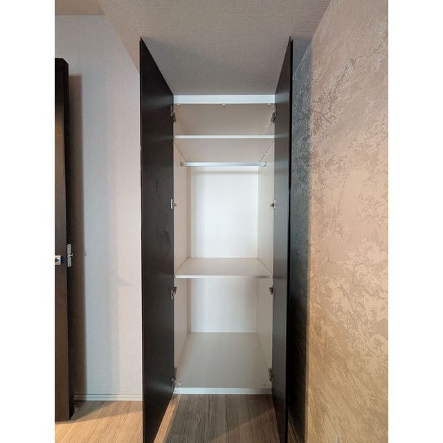 ジオ千代田大手町 洋室約5.1帖収納　202508撮影