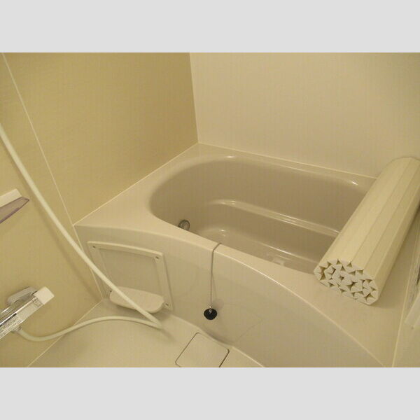 Felicidade(フェリシダージ)301号室 バス