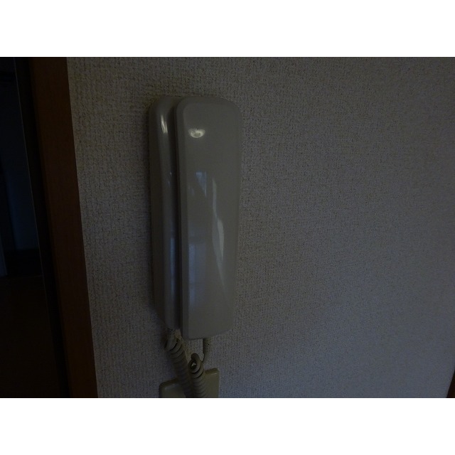 ドーチェスター大宮0301号室 インターホン