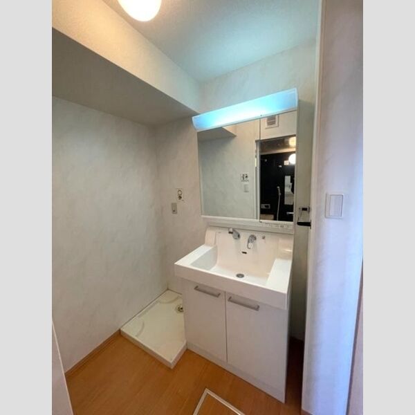 グランメールM208号室 洗髪洗面化粧台