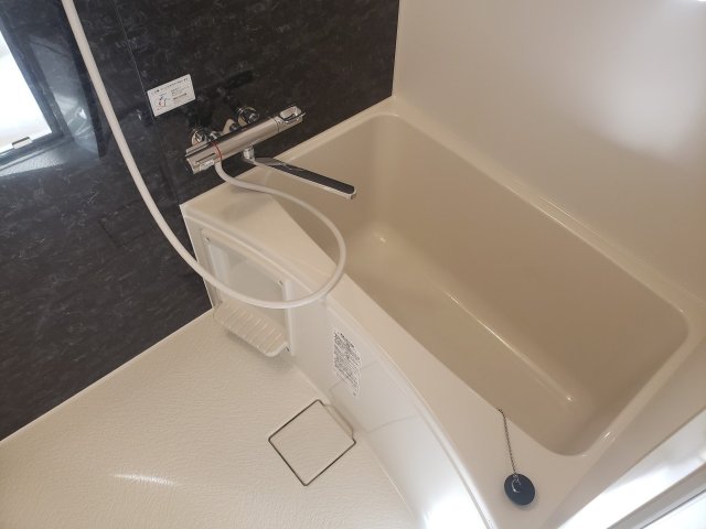 Ｔｈｅ　Ｒｅｓｉｄｅｎｔｉａｌ浅草0301号室 お風呂