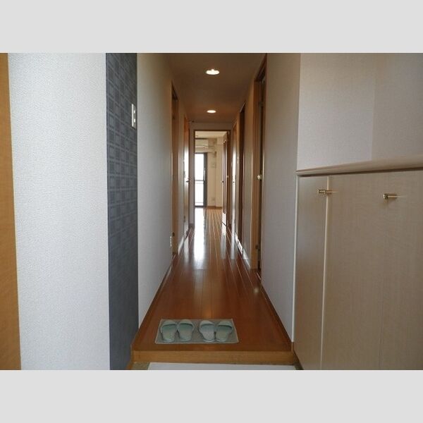 ベルシャイン厚木403号室 玄関