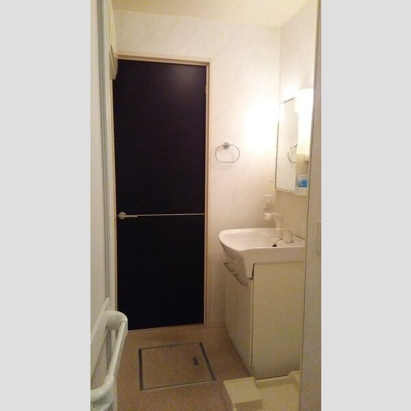 ヴェルデ神明町205号室 洗面室