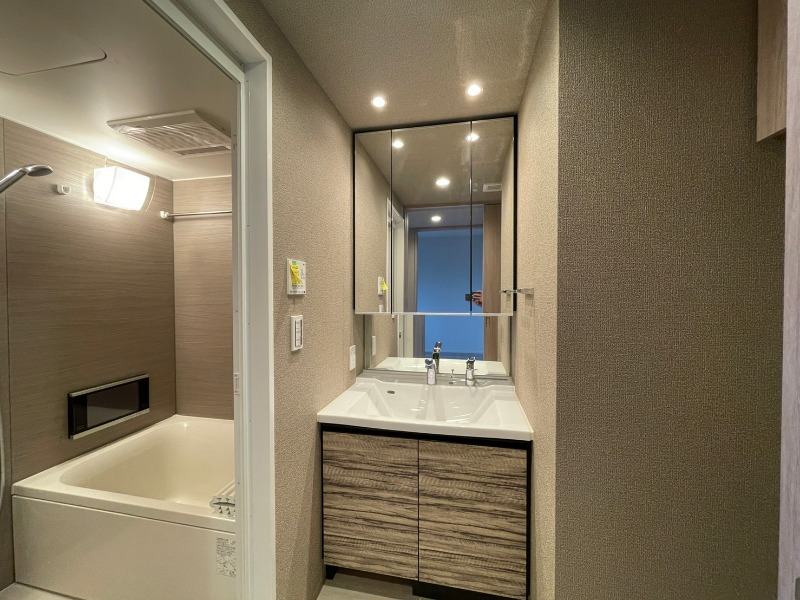 レーベン鶴瀬 Artifact 洗面