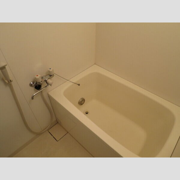 パインツリーコート203号室 ユニットバス