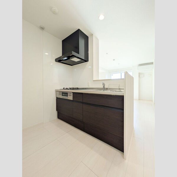 クレリアス若葉302号室 対面システムキッチン