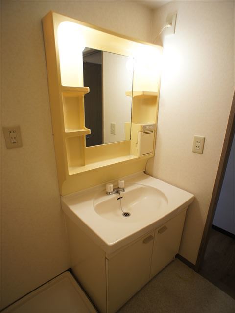 ルミエール若葉0302号室 洗面