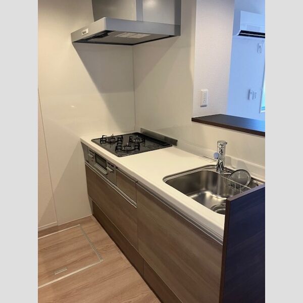 ノーブルヴィラ南浦和105号室 システムキッチン