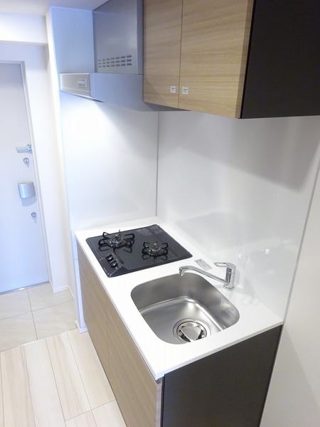 ラフィスタ蒲田南Ⅱ411号室 同建物別部屋の参考画像