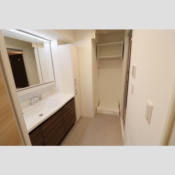 BELTS SHINJUKU　レジデンス406号室 洗髪洗面化粧台