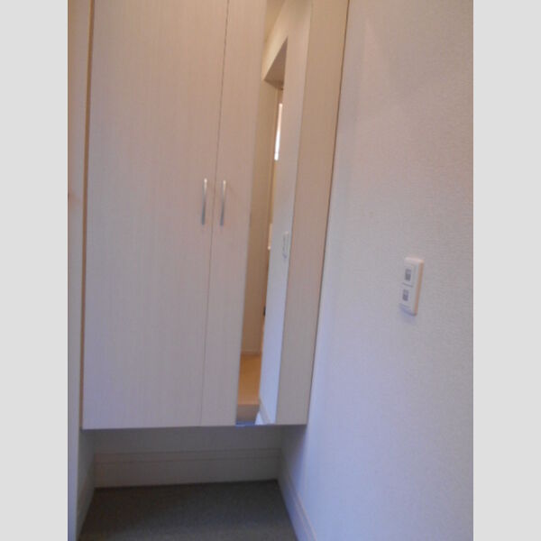 グリーンテリアGⅠ103号室 玄関