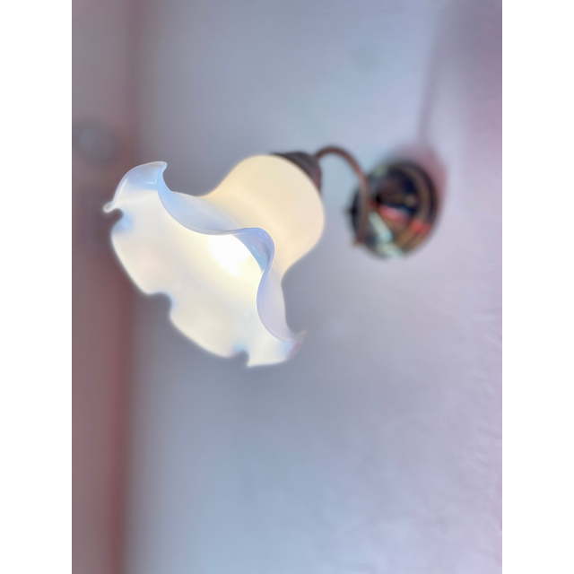 石田シャーウッド貸家1号室 ☆洋室11.8帖照明