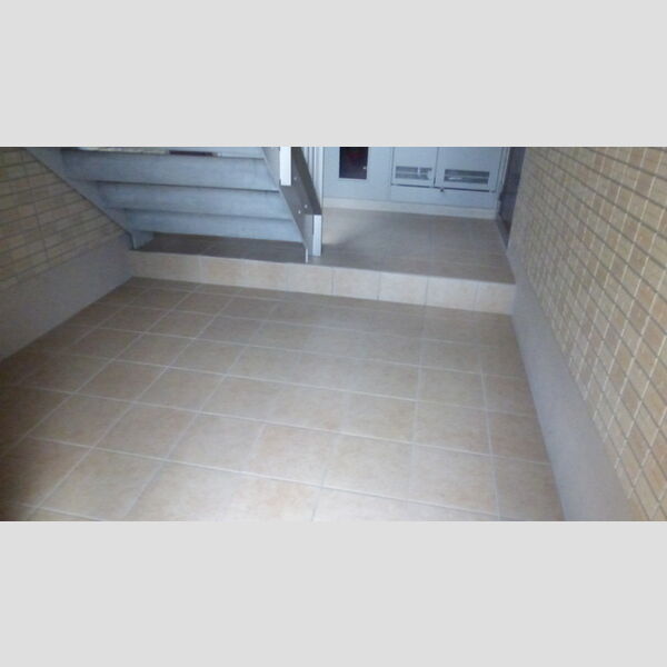 メディオTM 周辺