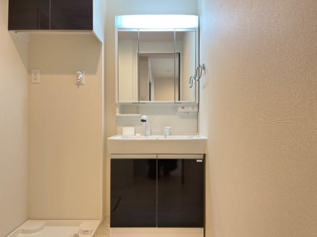 リバーテラス・田名 洗髪洗面化粧台