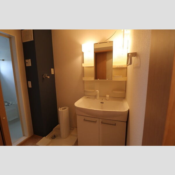 レジデンスフジミ203号室 洗髪洗面化粧台