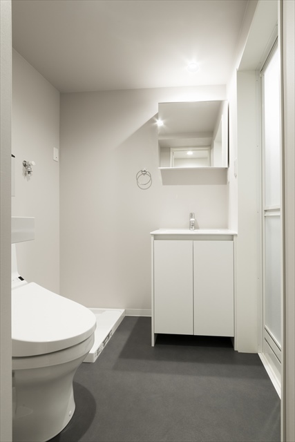 レオーネ南柏 洗面