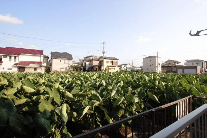 コーポサルビア1階 部屋その他