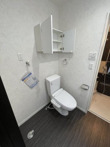 エスタシオン横浜203号室 トイレ