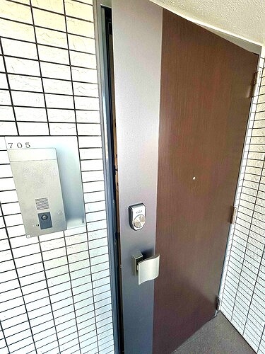 ルイシャトレ川口レックスフォート 玄関