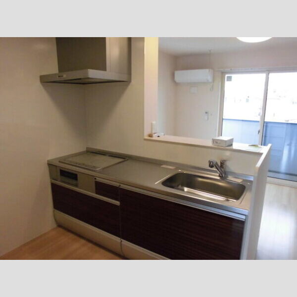 リジェール吹上203号室 対面システムキッチン