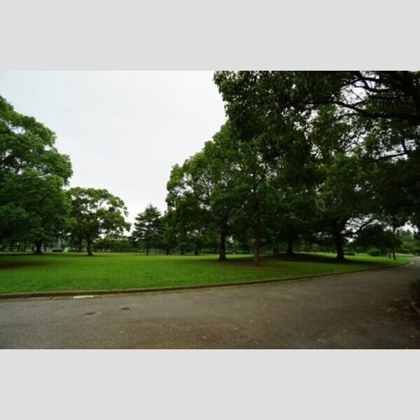 プチロッシュ 【公園】都立篠崎公園まで1148m