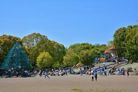 ステージファースト武蔵小山 【公園】平塚中央公園まで706ｍ