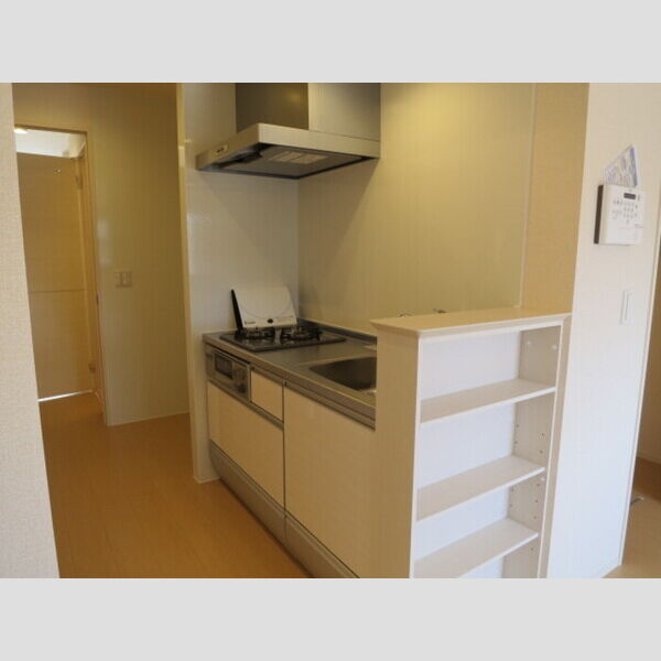 セレジェイラ103号室 キッチンスペース