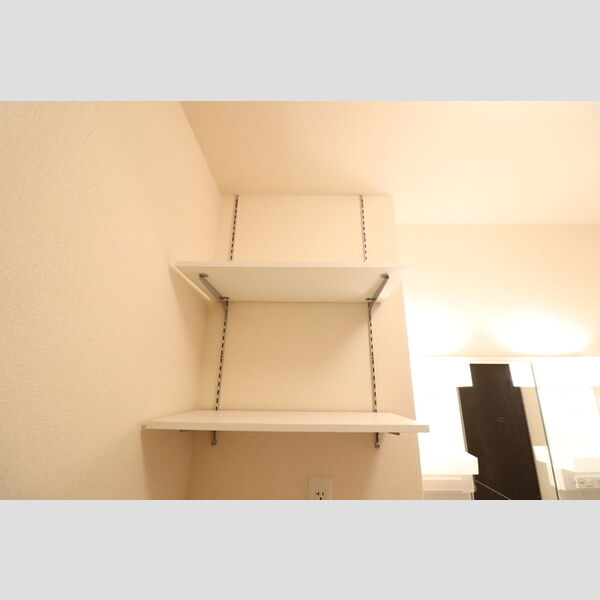 グリーンコート　六番館 収納棚(室内洗濯機置き場)