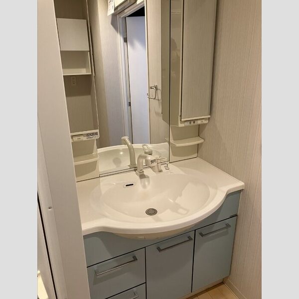 カスタリア入谷 洗面所